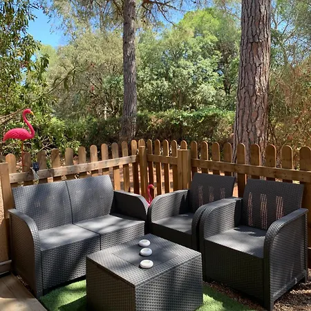 Climatise Avec Piscine Apartman